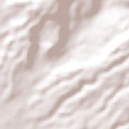 Zapoapan de Amapan Terrain Map