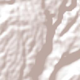 Los Mangos Terrain Map