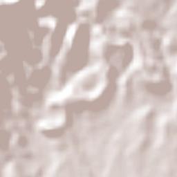 Tatahuicapan Terrain Map