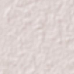 Villa Aldama Terrain Map