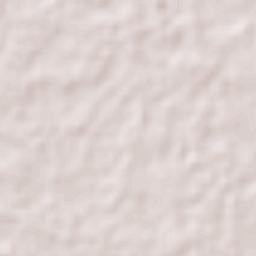 Miguel Hidalgo Terrain Map