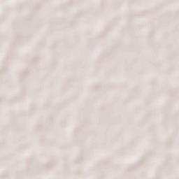 Mecoacán Terrain Map