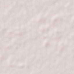 Palizada Terrain Map