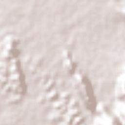 Petersfield Terrain Map