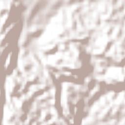 Faith's Pen Terrain Map