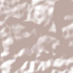 Flint River Terrain Map