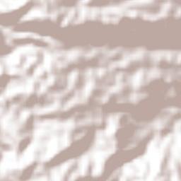 Aguas Buenas Terrain Map