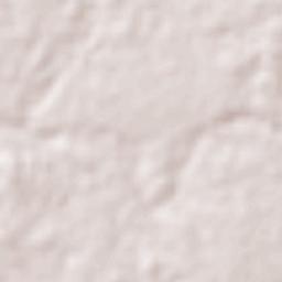 Nuevo Guerrero Terrain Map