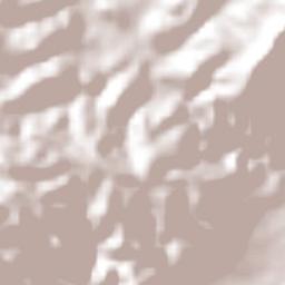 Paso Morelos Terrain Map