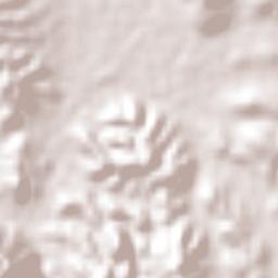 Ahuehuetitla Terrain Map