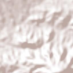 Totoltepec de Guerrero Terrain Map