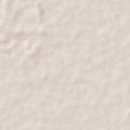 Tuxtilla Terrain Map