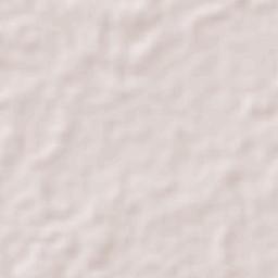 Pueblo Viejo Terrain Map