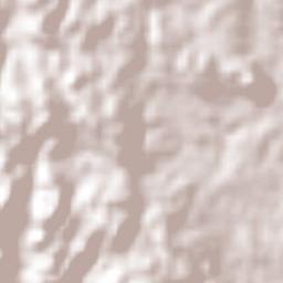 Dillion Bigwoods Terrain Map