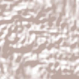 Robins Hall Terrain Map