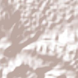 Morgans Forest Terrain Map