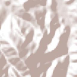 Long Road Terrain Map