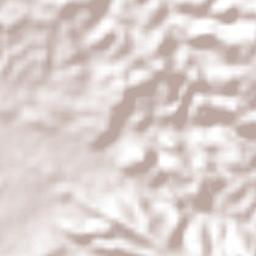 Mayagüez Terrain Map