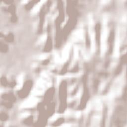 Las Nieves Terrain Map