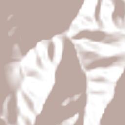 Santa María Teopoxco Terrain Map