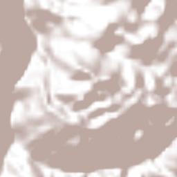 Santa Cruz de Juárez Terrain Map