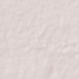 Santa Catalina Terrain Map