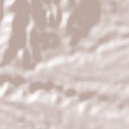 Huazuntlán Terrain Map