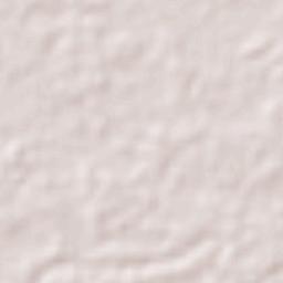 Nicolás Bravo Terrain Map