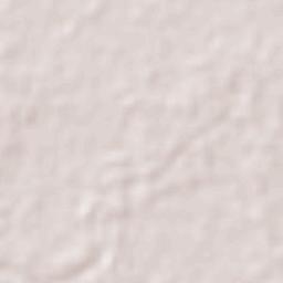 Jalpa de Méndez Terrain Map