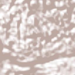 White Hill Terrain Map