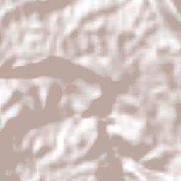 Brandon Hill Terrain Map