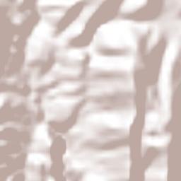 Cuetzala del Progreso Terrain Map