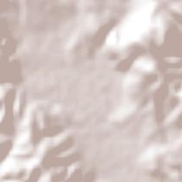 Tecuexcontitlán (Tecoescontitlán) Terrain Map