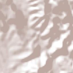 Atenango del Río Terrain Map