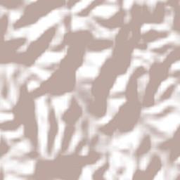 Chila de la Sal Terrain Map