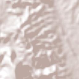 Nanahuatípam Terrain Map