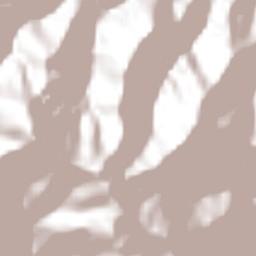 San Lucas Zoquiápam Terrain Map