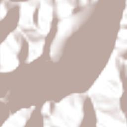 San Mateo Yoloxochitlán Terrain Map