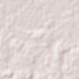 Benemérito Juárez Terrain Map