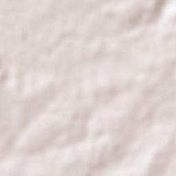 Corral Nuevo Terrain Map