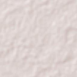 Pechucalco 2da. Sección (Las Cruces) Terrain Map