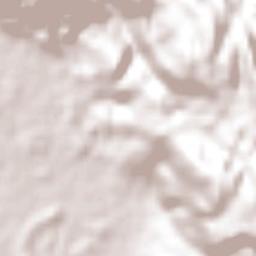 St. Paul's Terrain Map