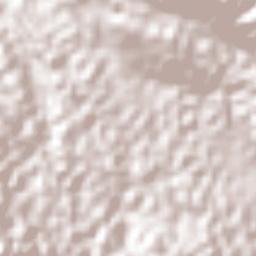 Grove Place Terrain Map