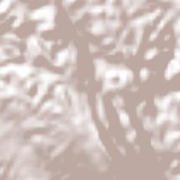 Walderston Terrain Map