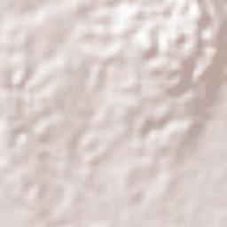 Linstead Terrain Map