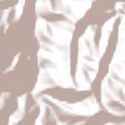 Bangor Ridge Terrain Map