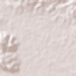 Hormigueros Municipio Terrain Map