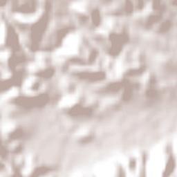 Parcelas Nuevas Terrain Map