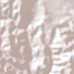 Tonalapa del Sur Terrain Map