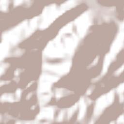 Tequicuilco Terrain Map